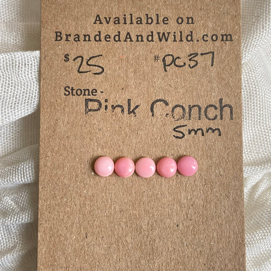 Pink Conch Cabochon - PC37 FF7849E7-C9E0-4C78-A139-61D29A7E49BD Brandedandwild.com
