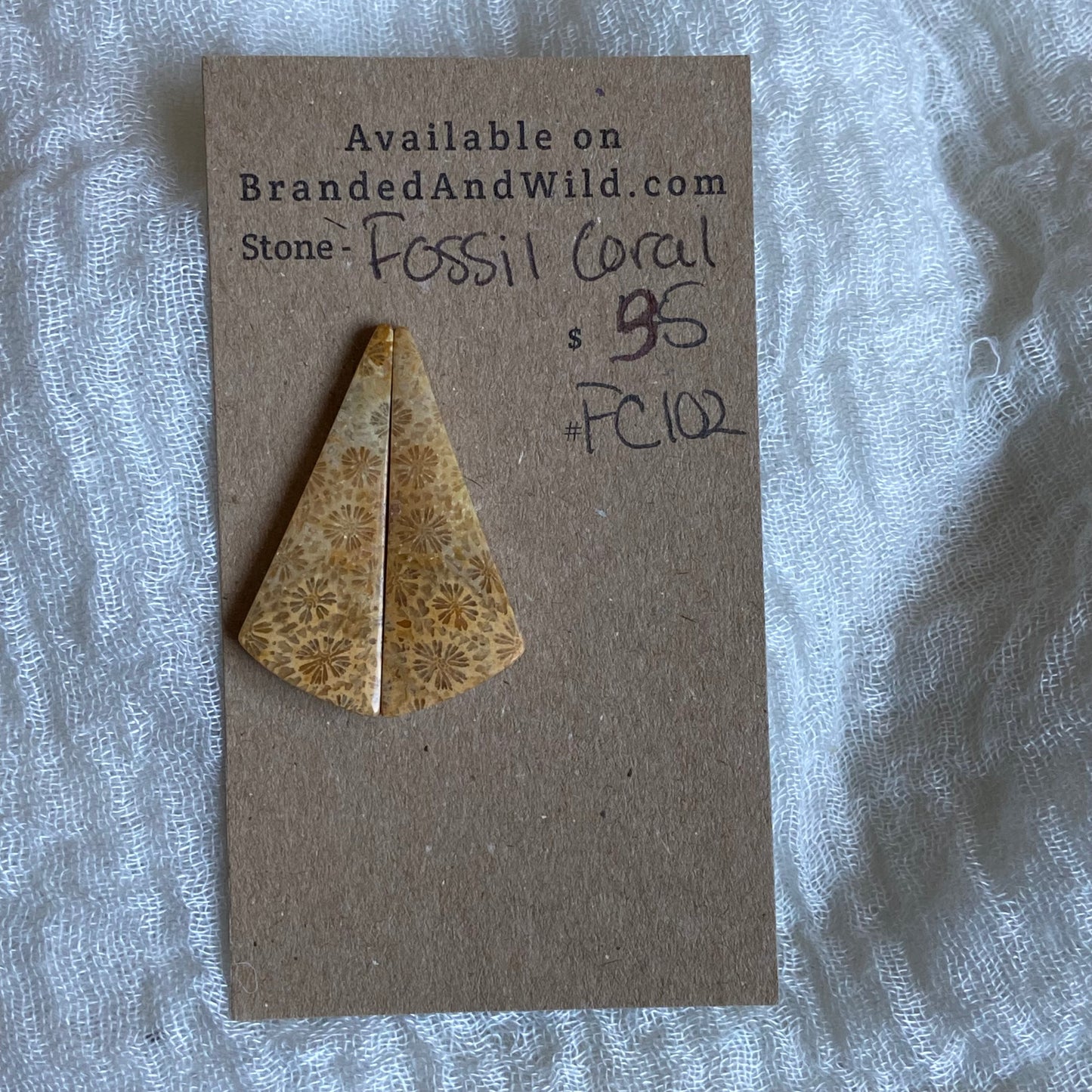 Fossil Coral Cabochon - FC102