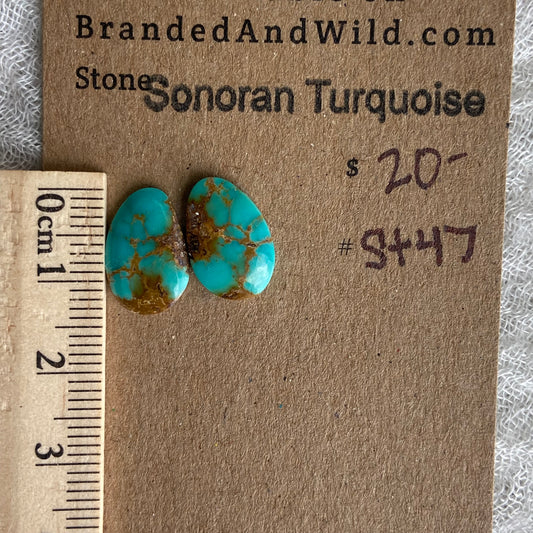 Sonoran Turquoise Cabochon - ST47