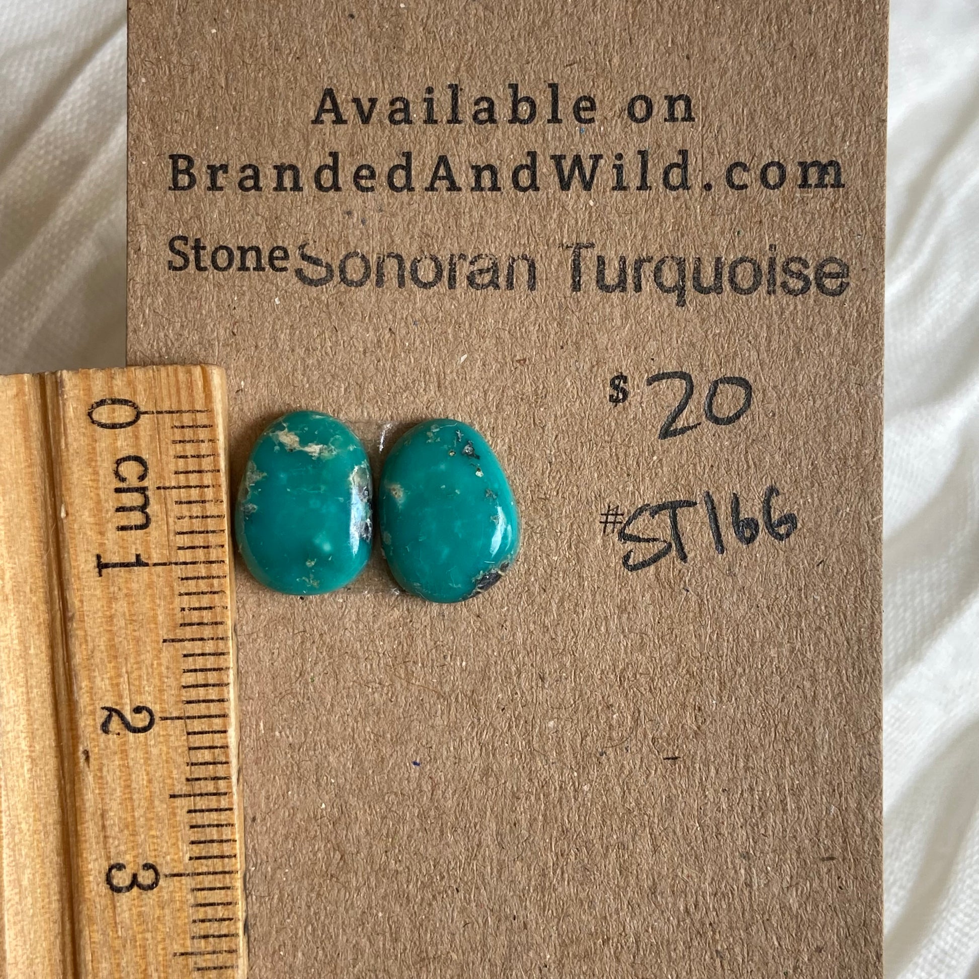 Sonoran Turquoise Cabochon - ST166 FFB497A3-A7FB-4007-B708-D8F89BD61E20 Brandedandwild.com