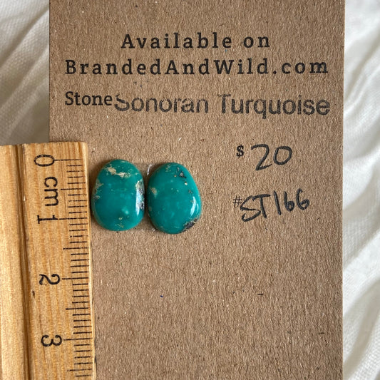 Sonoran Turquoise Cabochon - ST166 FFB497A3-A7FB-4007-B708-D8F89BD61E20 Brandedandwild.com