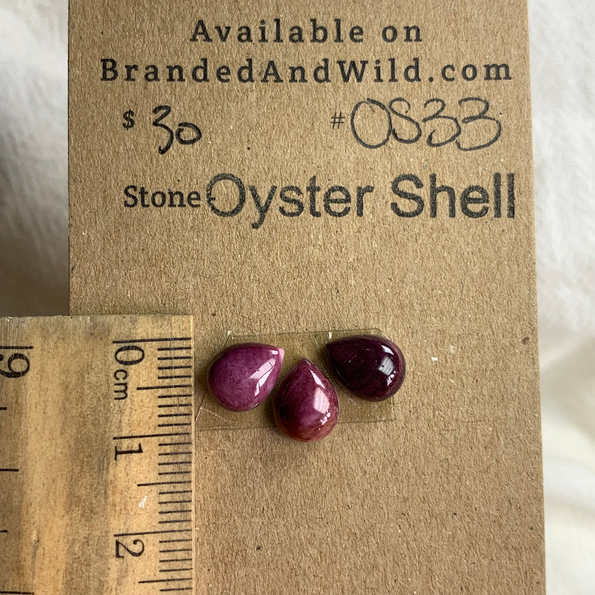Oyster Shell Cabochon - OS33 FFC0F0E8-F8B3-4247-A2C2-6315B70CA2A7 Brandedandwild.com