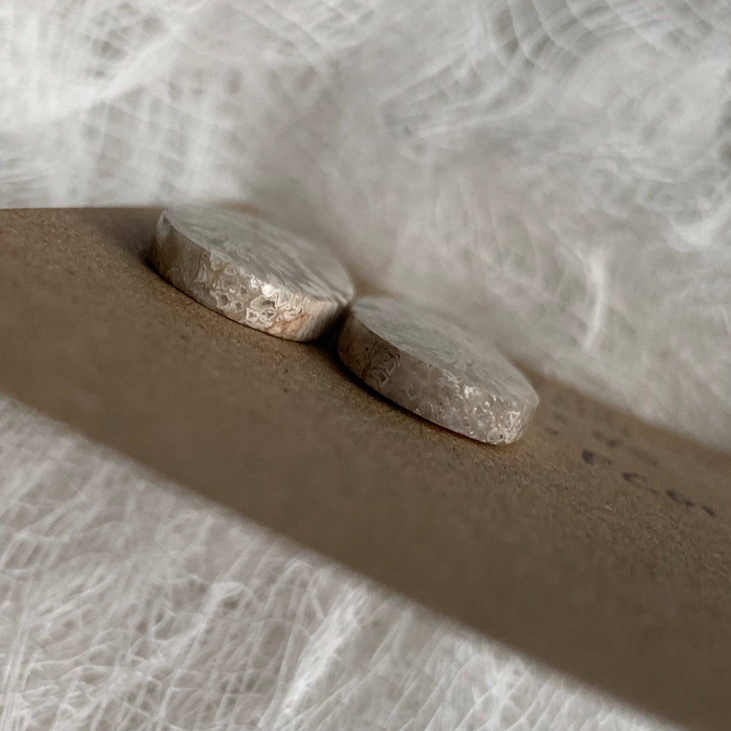 Fossil Coral Cabochon - FC01