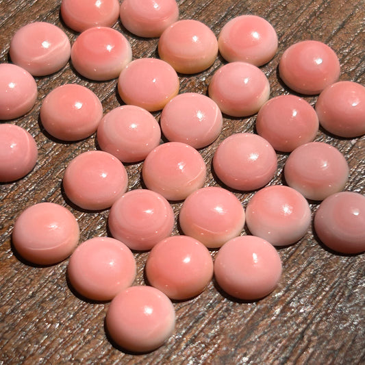 Pink Conch 8mm