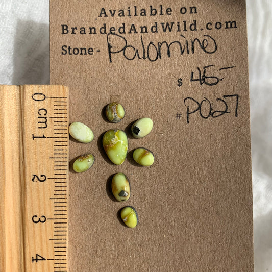 Palomino Cabochon - P027