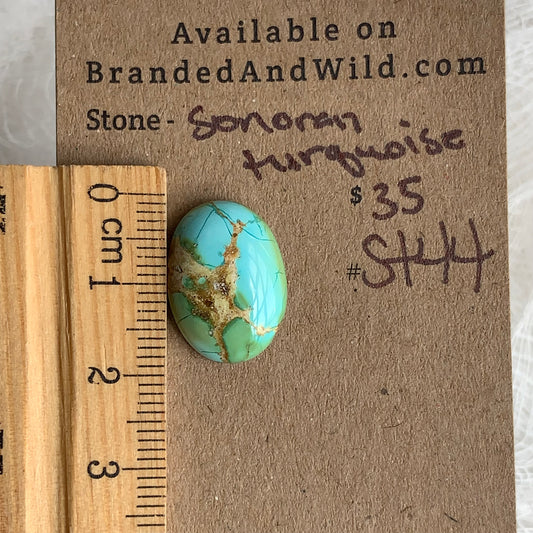 Sonoran Turquoise Cabochon - ST44