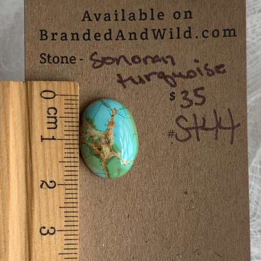 Sonoran Turquoise Cabochon - ST44