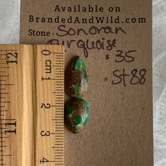 Sonoran Turquoise Cabochon - ST88