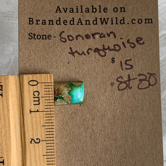 Sonoran Turquoise Cabochon - ST30