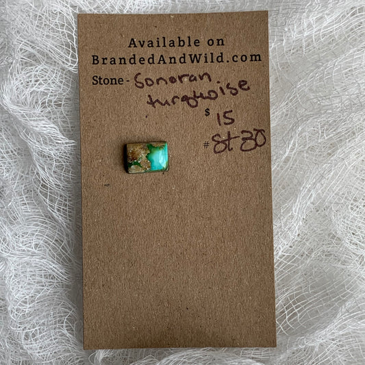 Sonoran Turquoise Cabochon - ST30