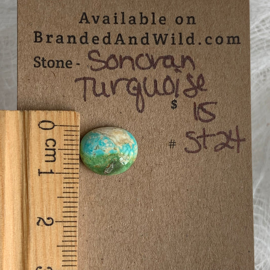 Sonoran Turquoise Cabochon - ST24