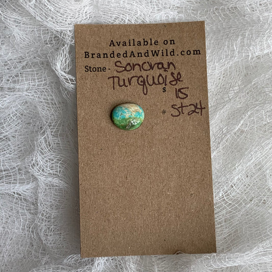 Sonoran Turquoise Cabochon - ST24