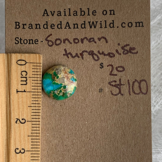 Sonoran Turquoise Cabochon - ST100