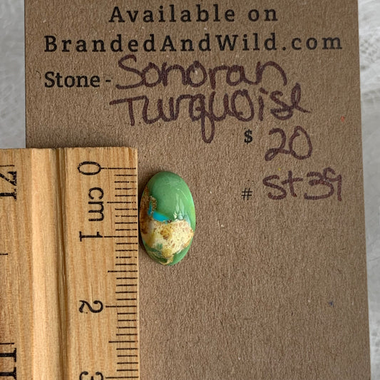 Sonoran Turquoise Cabochon - ST39