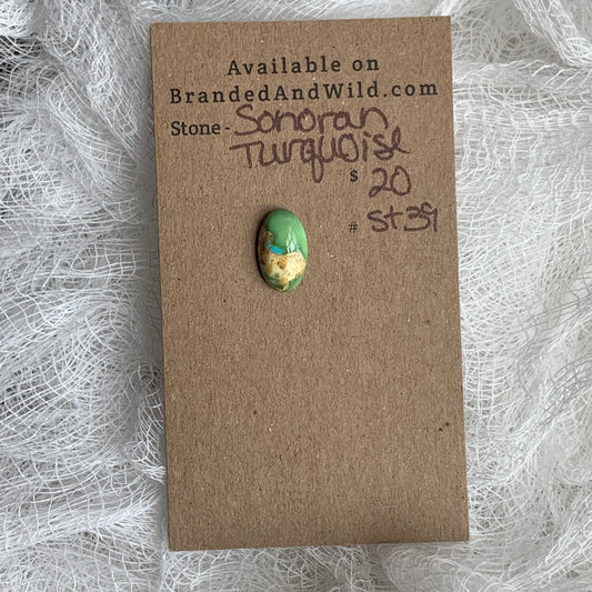 Sonoran Turquoise Cabochon - ST39