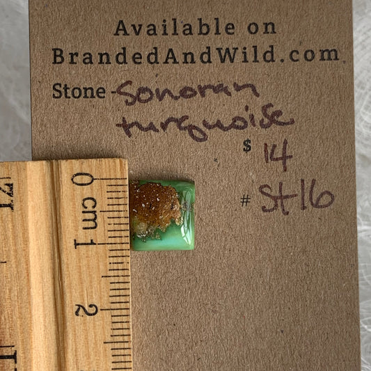 Sonoran Turquoise Cabochon - ST16