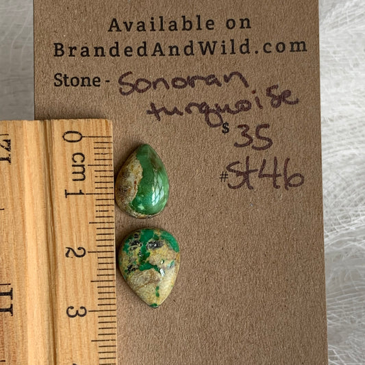 Sonoran Turquoise Cabochon - ST46