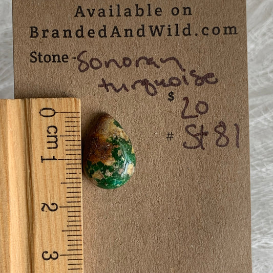 Sonoran Turquoise Cabochon - ST81