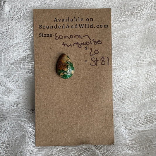 Sonoran Turquoise Cabochon - ST81
