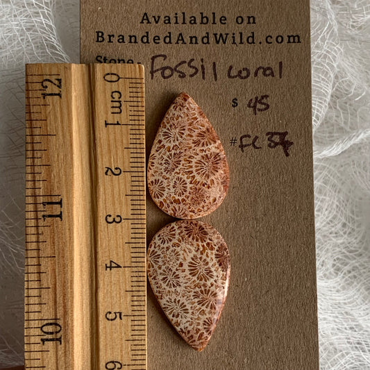Fossil Coral Cabochon - FC37