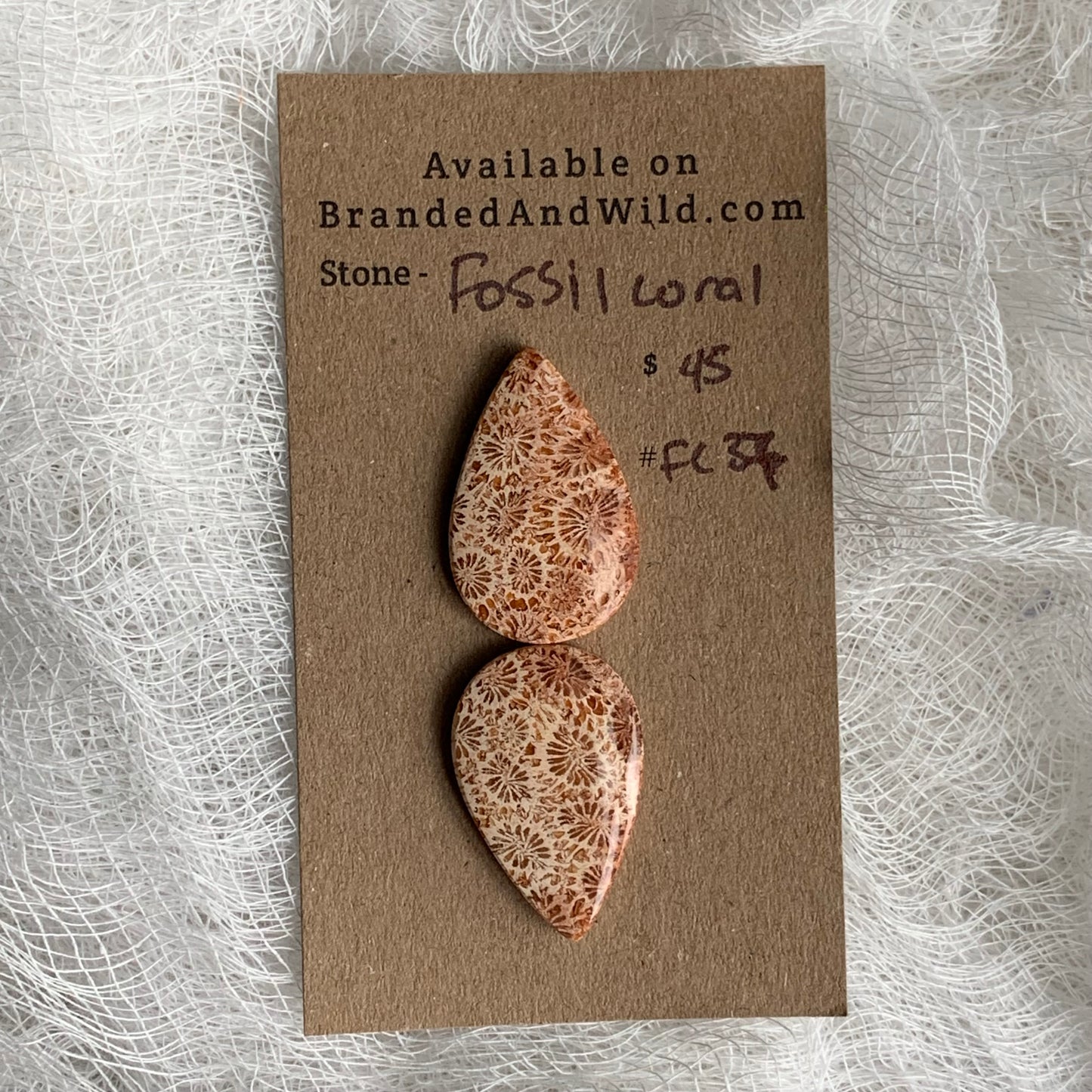 Fossil Coral Cabochon - FC37