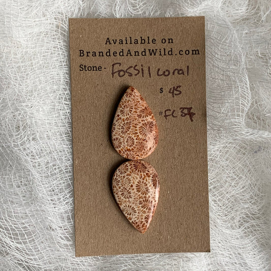 Fossil Coral Cabochon - FC37