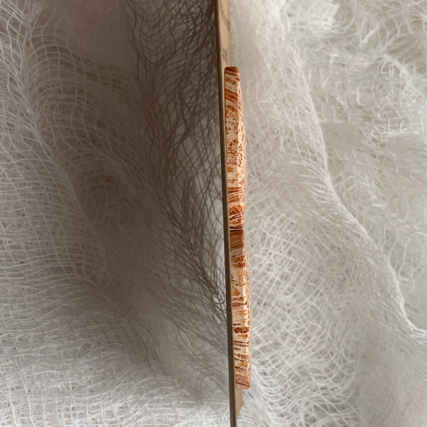 Fossil Coral Cabochon - FC37