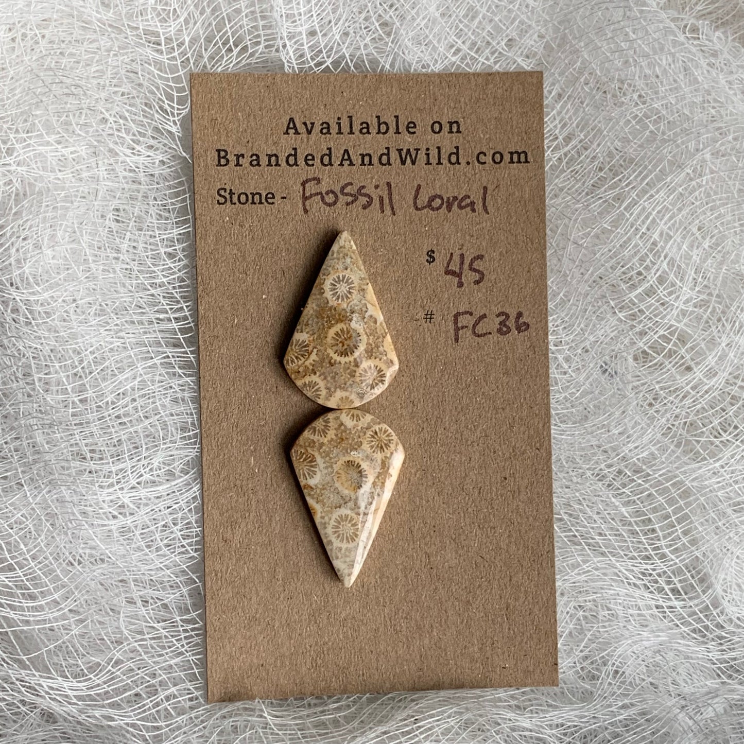 Fossil Coral Cabochon - FC36
