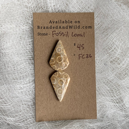 Fossil Coral Cabochon - FC36