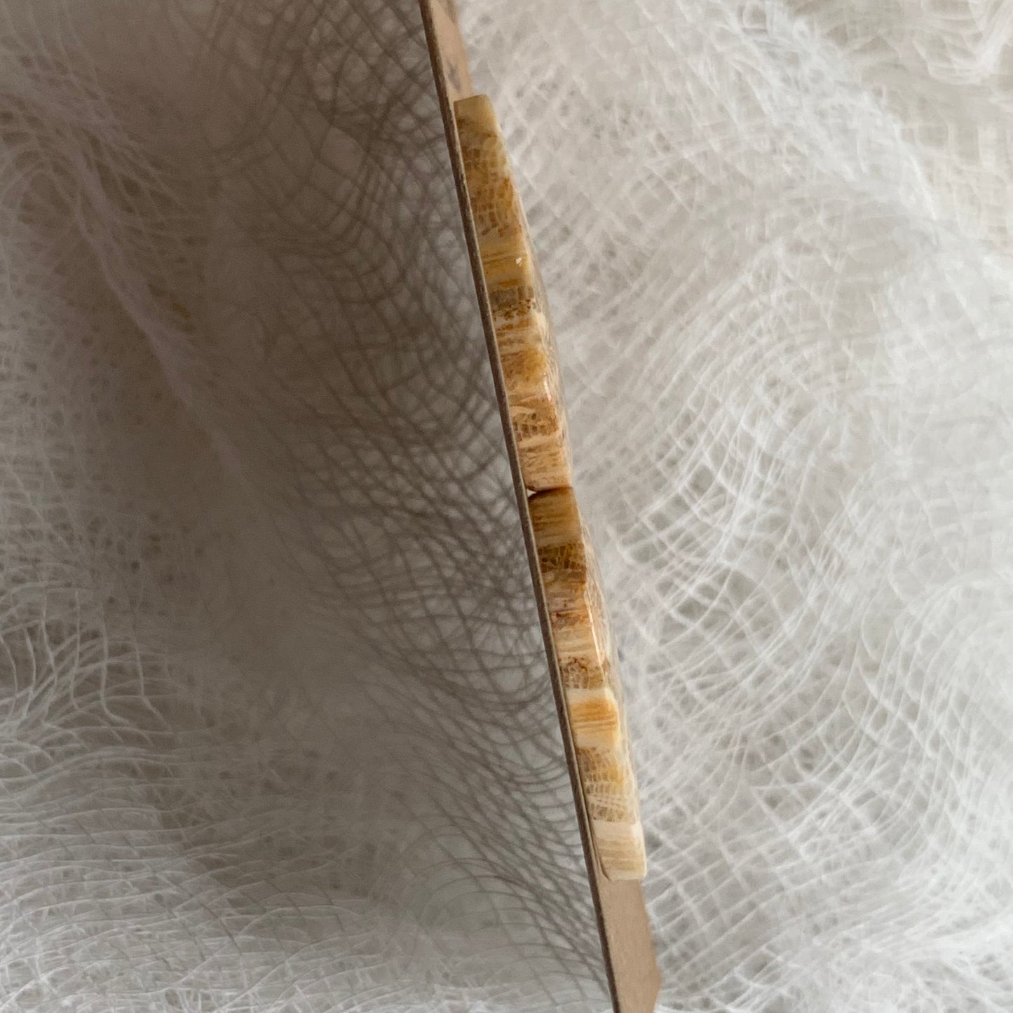 Fossil Coral Cabochon - FC36