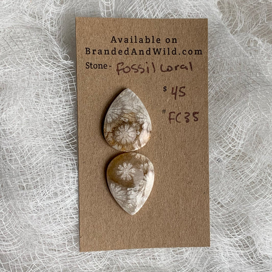 Fossil Coral Cabochon - FC35