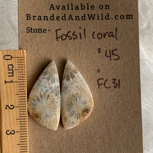 Fossil Coral Cabochon - FC31
