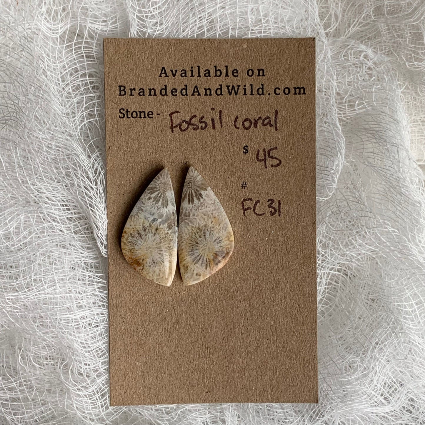 Fossil Coral Cabochon - FC31