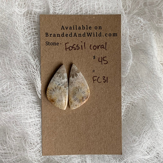 Fossil Coral Cabochon - FC31