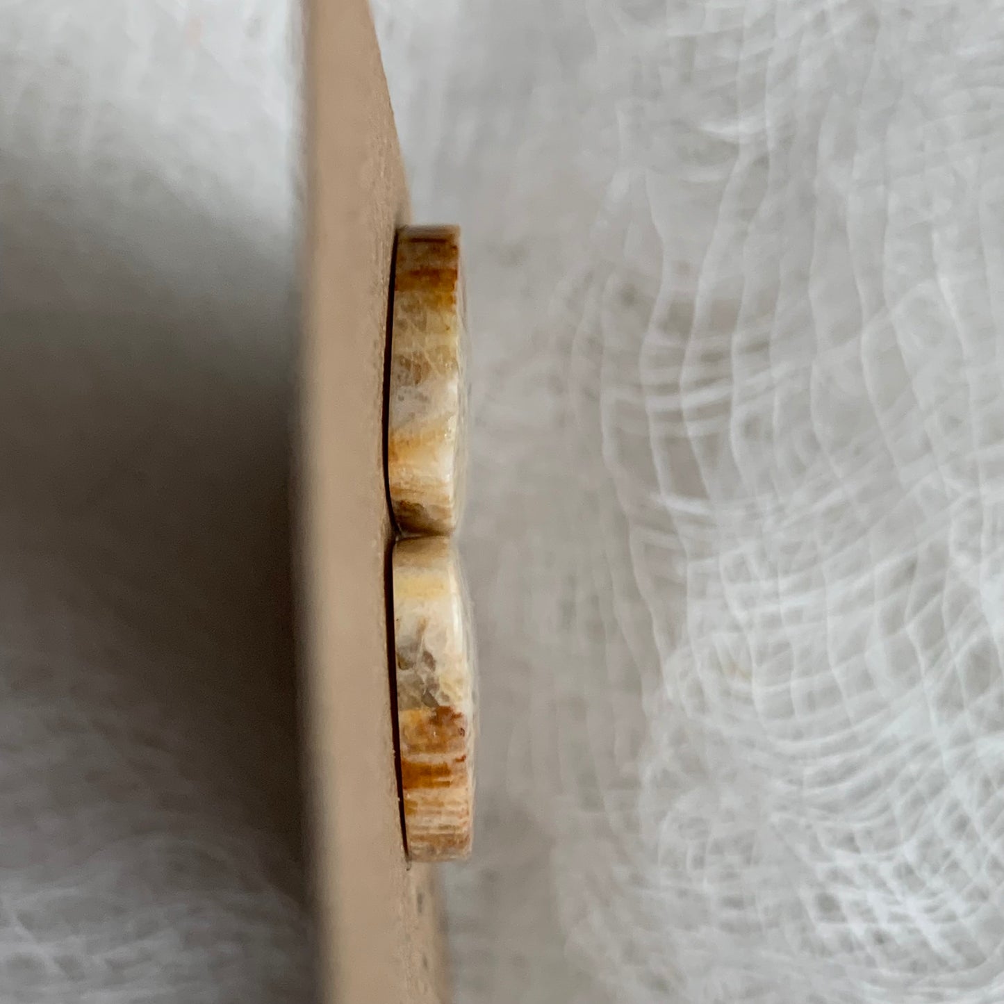 Fossil Coral Cabochon - FC31