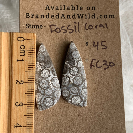Fossil Coral Cabochon - FC30