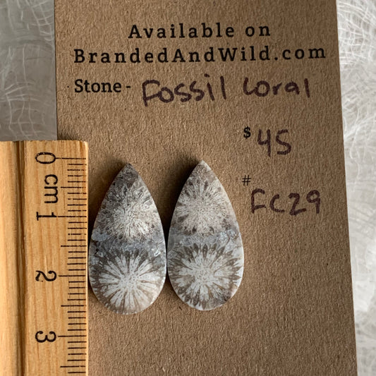 Fossil Coral Cabochon - FC29