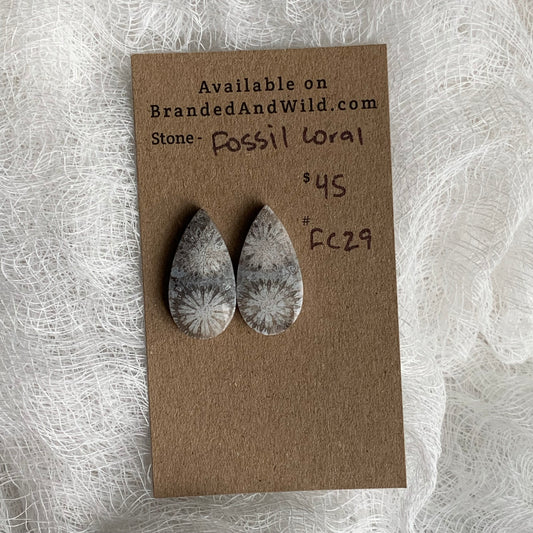 Fossil Coral Cabochon - FC29