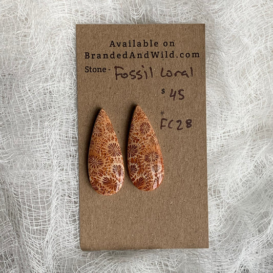Fossil Coral Cabochon - FC28