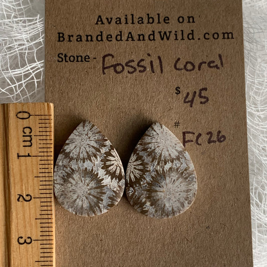 Fossil Coral Cabochon - FC26