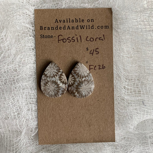 Fossil Coral Cabochon - FC26