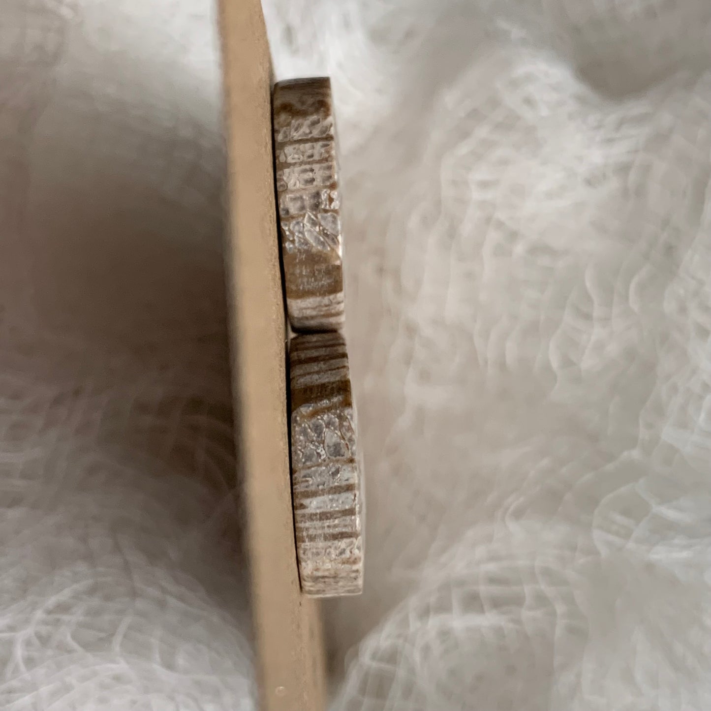 Fossil Coral Cabochon - FC26
