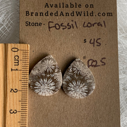 Fossil Coral Cabochon - FC24