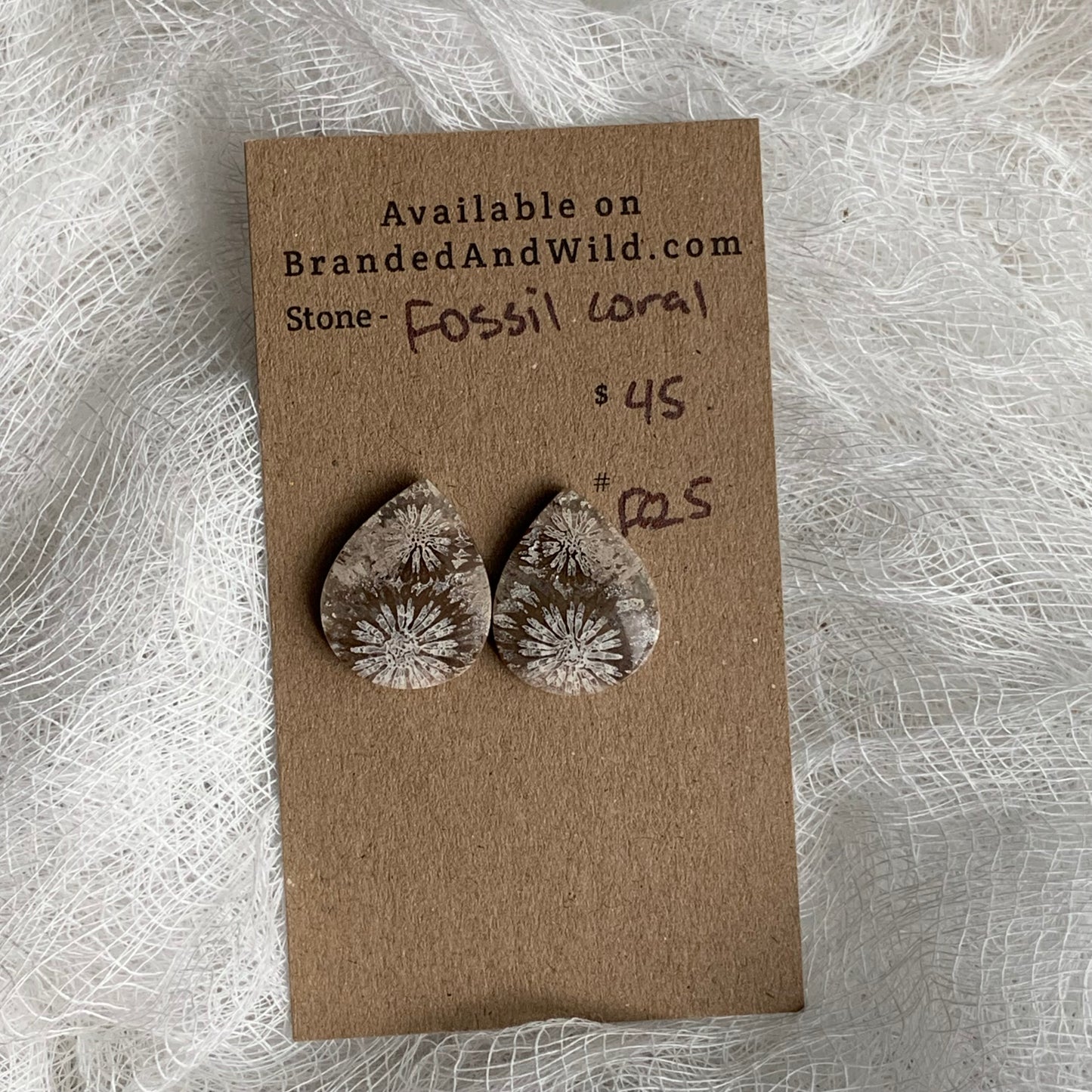 Fossil Coral Cabochon - FC24