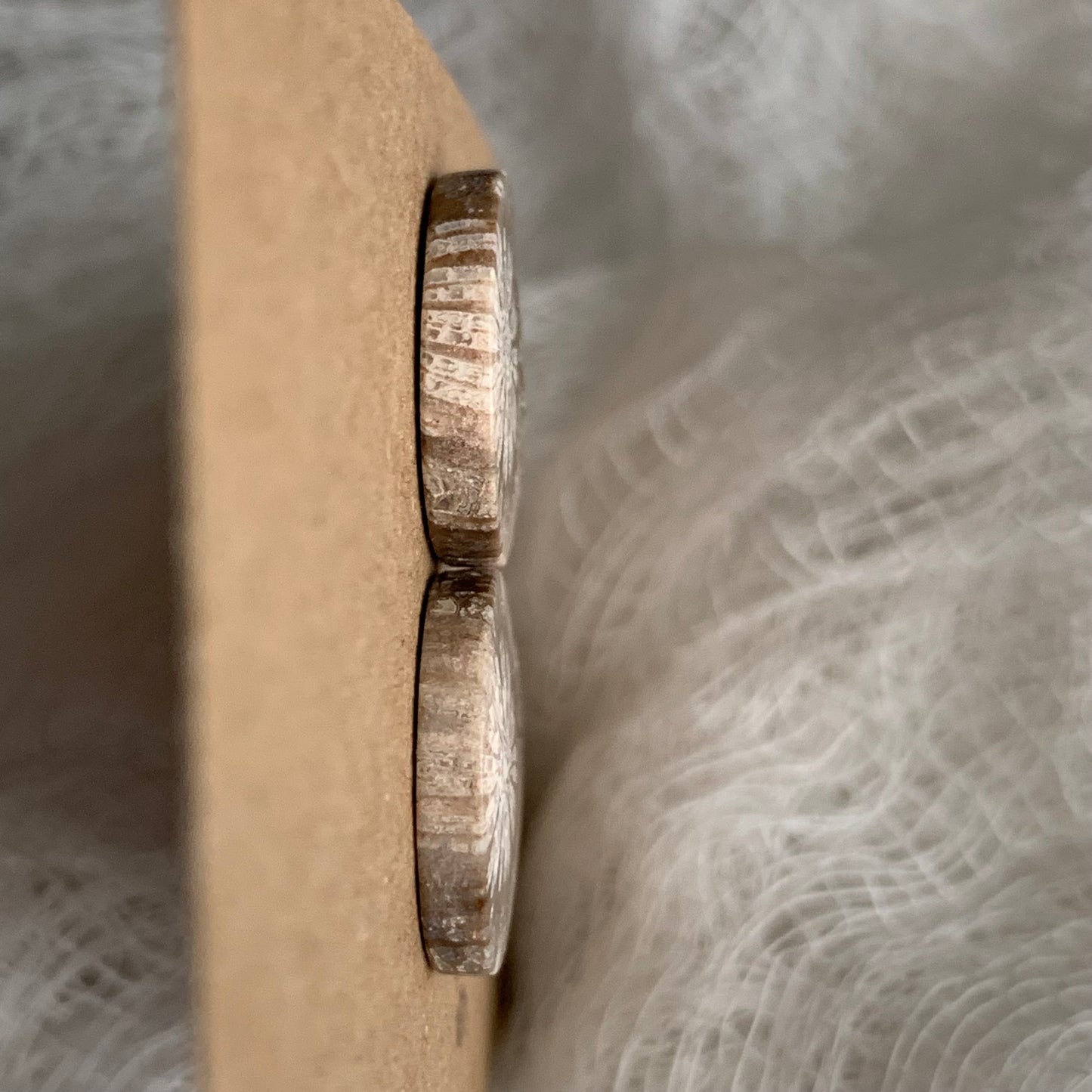 Fossil Coral Cabochon - FC24
