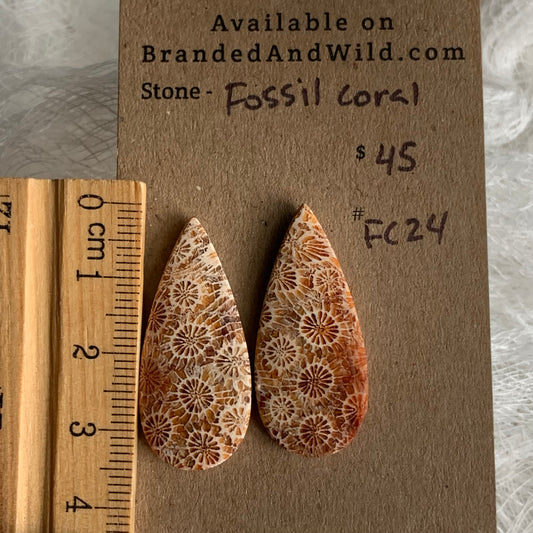 Fossil Coral Cabochon - FC24
