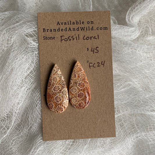 Fossil Coral Cabochon - FC24