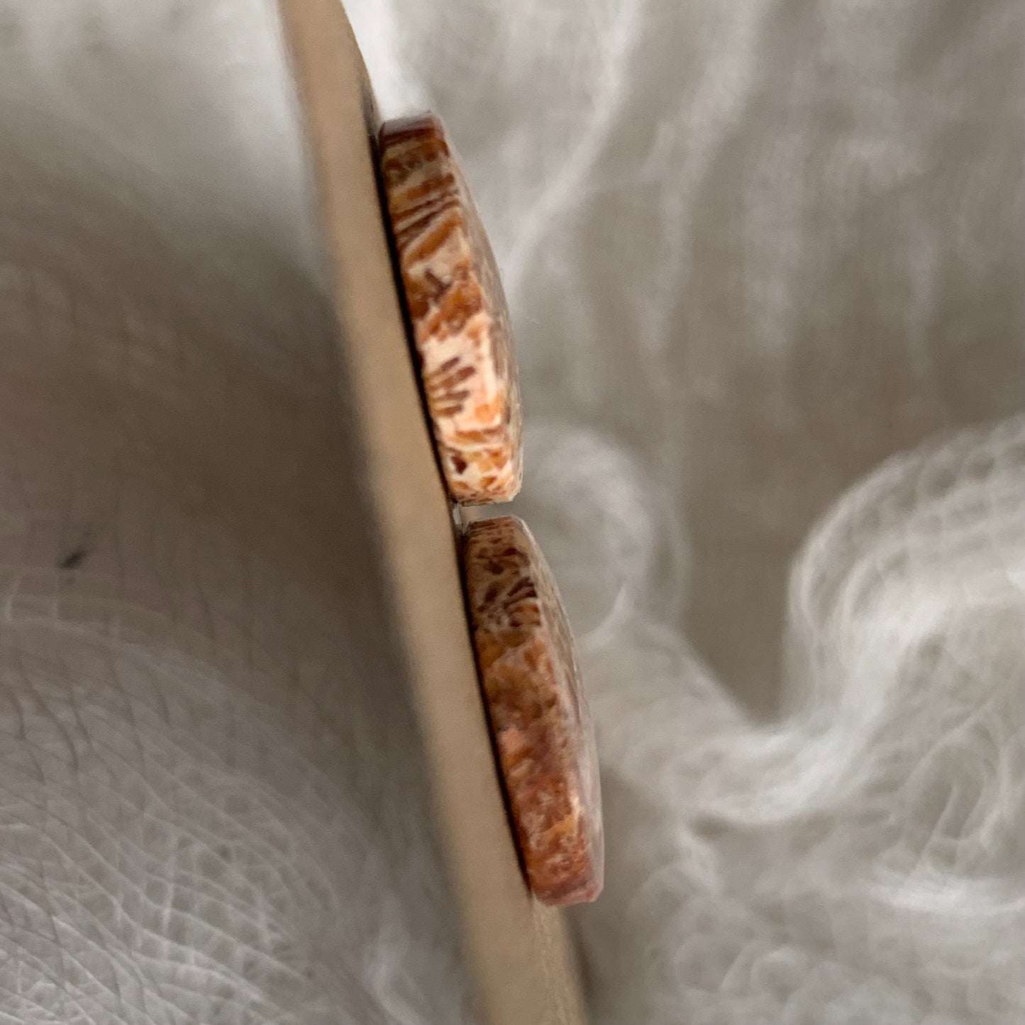 Fossil Coral Cabochon - FC24