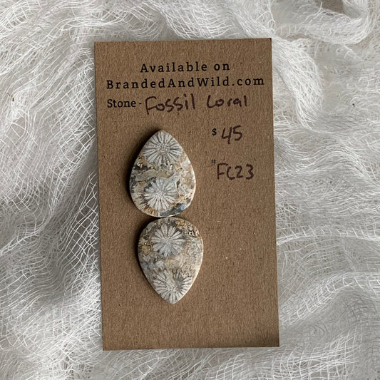 Fossil Coral Cabochon - FC23
