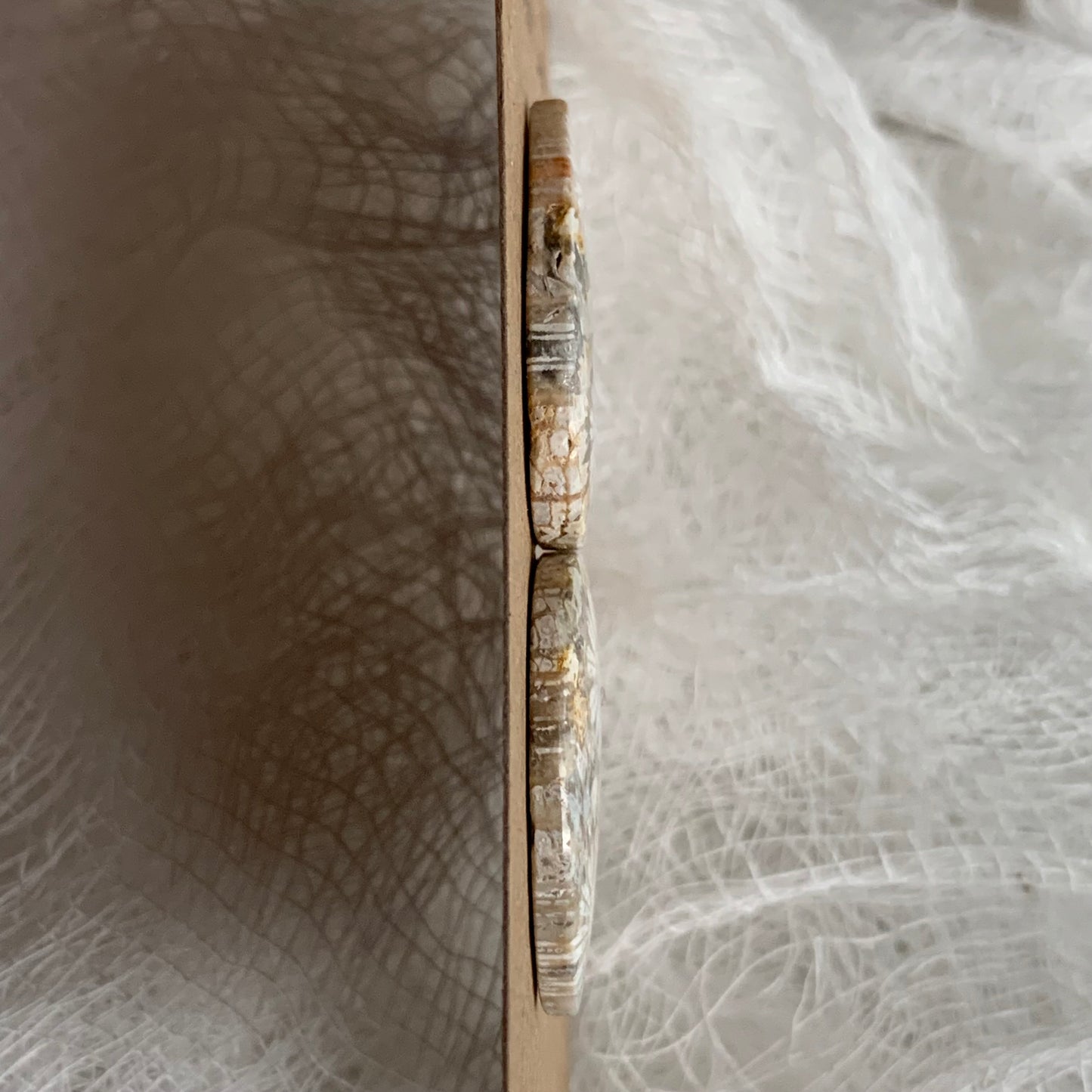 Fossil Coral Cabochon - FC23